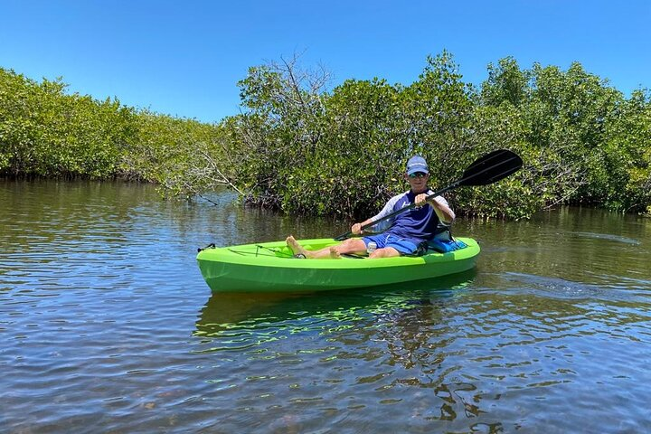 2 Hours Kayak Eco Tour in Tarpon Springs - Photo 1 of 12